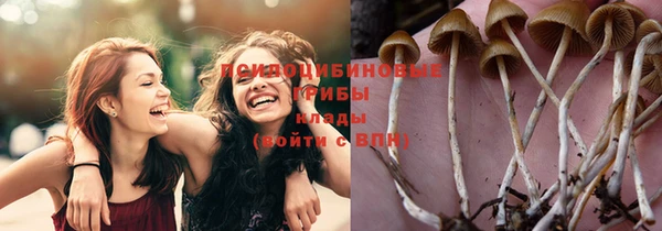 прущая мука Новодвинск