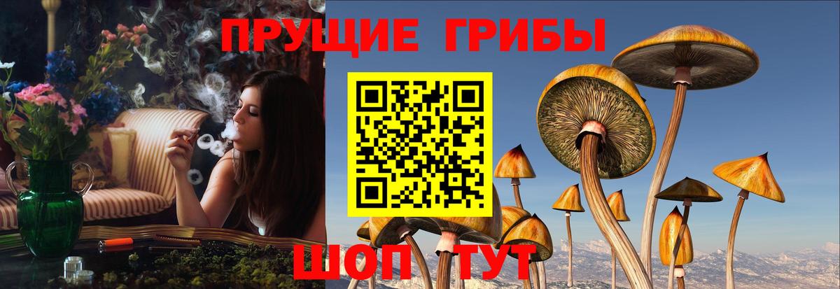 Галлюциногенные грибы мицелий  Вход с VPN  Муравленко  Псилоцибиновые грибы GOLDEN TEACHER 