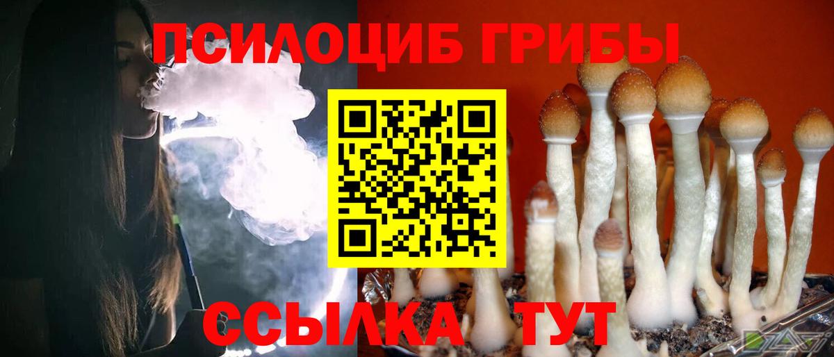 Галлюциногенные грибы Psilocybe  Галлюциногенные грибы MAGIC MUSHROOMS  Муравленко 